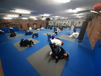 Triad Brazilian Jiu-Jitsu BJJ Academy - photo 3
