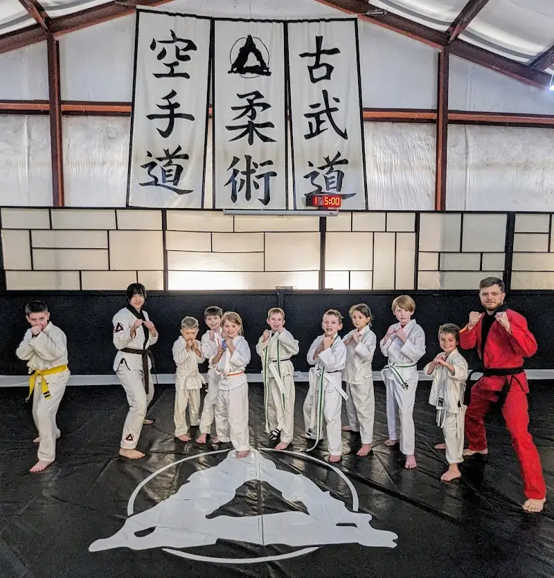 Triad Martial Arts Academy BJJ Academy - photo 1