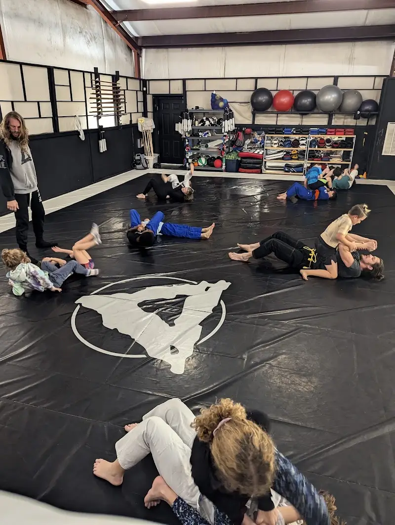 Triad Martial Arts Academy BJJ Academy - photo 2