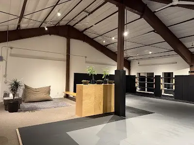 Tribal Society Jiu-Jitsu BJJ Academy - photo 4