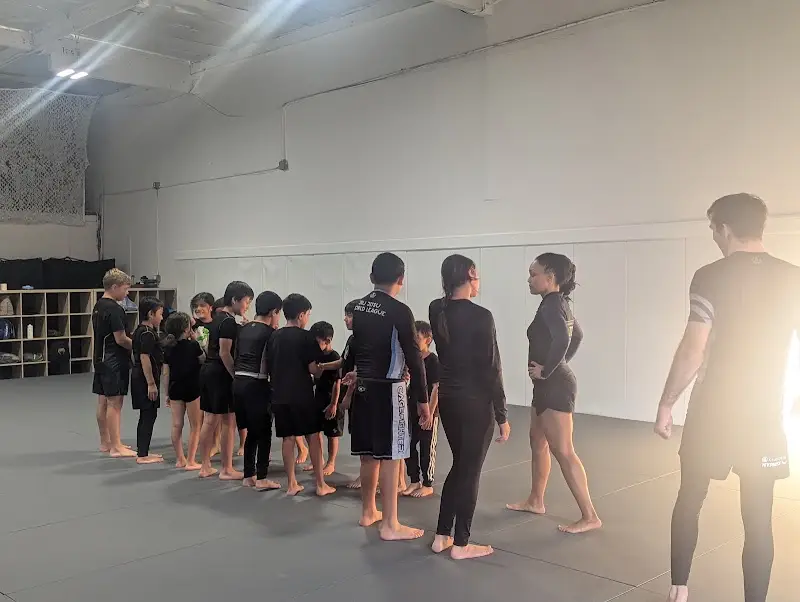 Tribe Athletic Club BJJ Academy - photo 1
