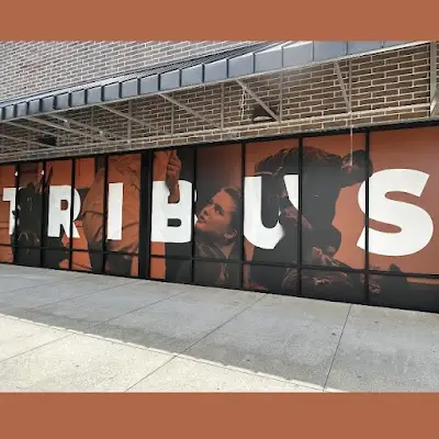 Tribus Brazilian Jiu-Jitsu