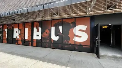 Tribus Brazilian Jiu-Jitsu BJJ Academy - photo 1
