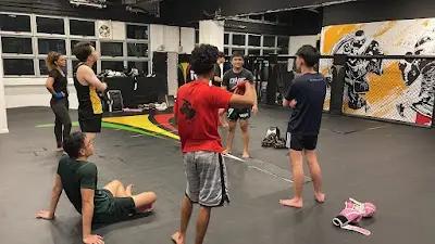 Tricolor MMA BJJ Academy - photo 1