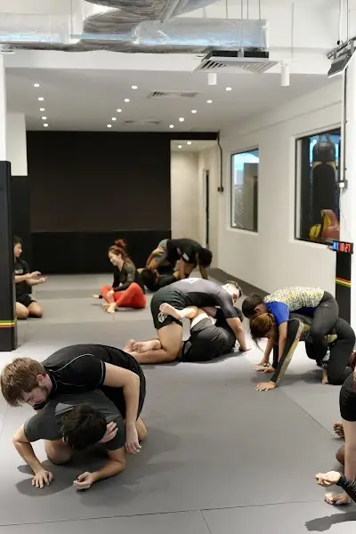 Tricolor MMA BJJ Academy - photo 2