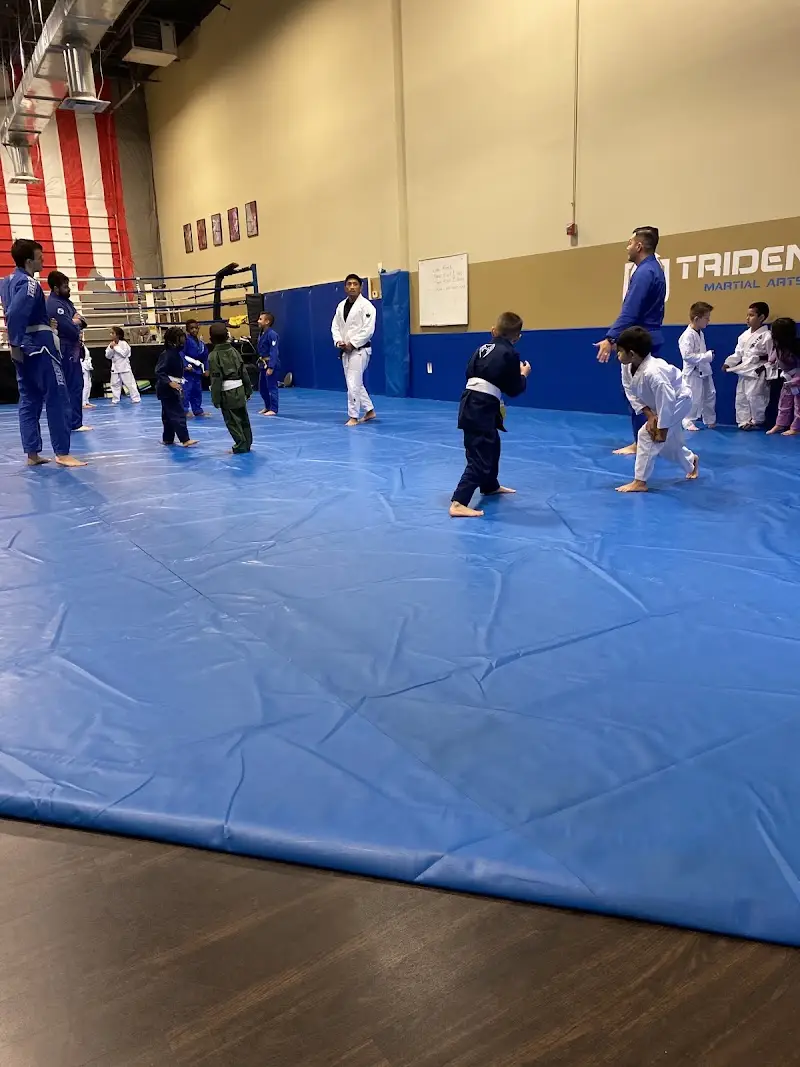 Trident Academy of Martial Arts