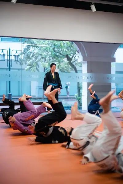 Trifecta Martial Arts (River Valley) BJJ Academy - photo 3