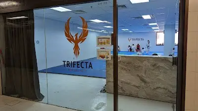 Trifecta Martial Arts (River Valley) BJJ Academy - photo 4