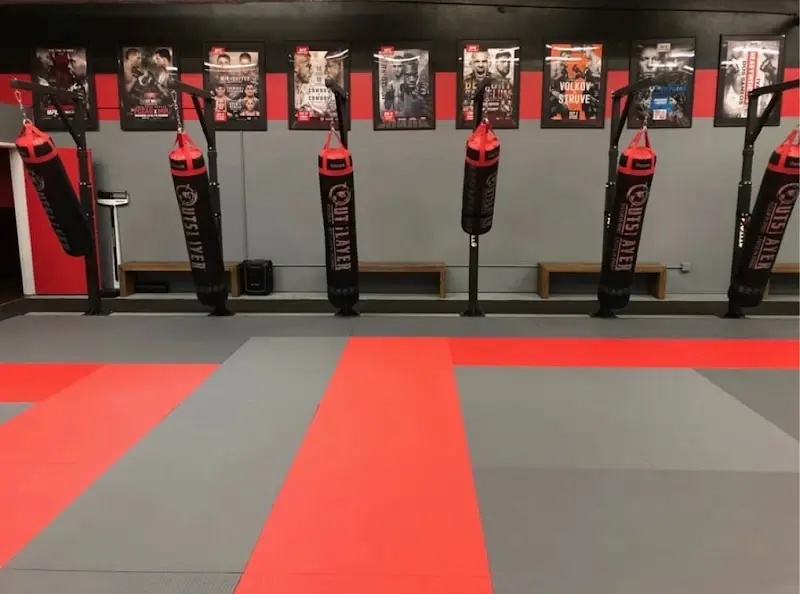 Trifecta MMA/BJJ BJJ Academy - photo 1