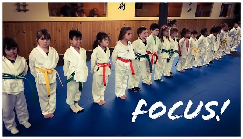 Trigon Academy of Martial Arts BJJ Academy - photo 2