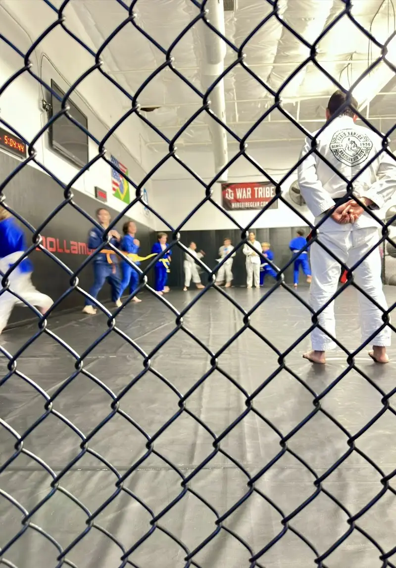 Trilogy Martial Arts BJJ Academy - photo 2