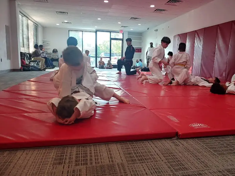 Trinity Martial Arts Academy BJJ Academy - photo 1