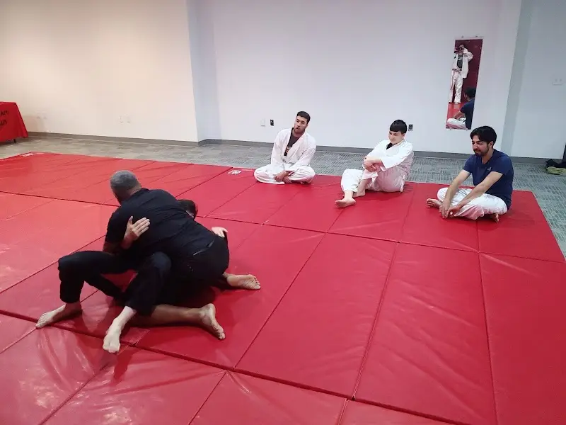 Trinity Martial Arts Academy BJJ Academy - photo 2