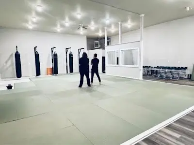 Triple Impact Martial Arts BJJ Academy - photo 2