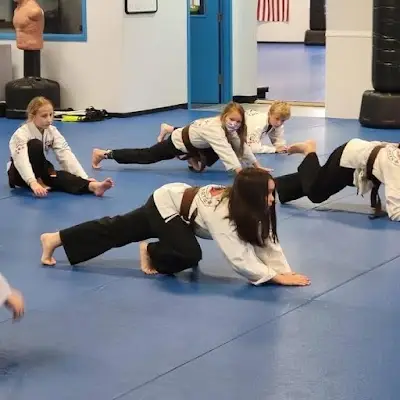 Tristar Martial Arts Academy BJJ Academy - photo 1