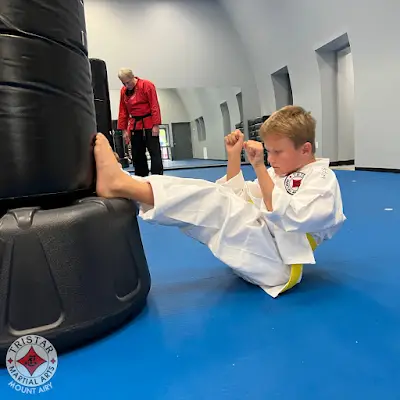 Tristar Martial Arts of Mount Airy BJJ Academy - photo 3