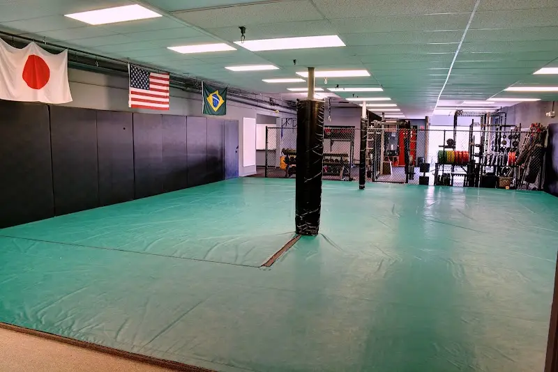 TRITAC Training Center BJJ Academy - photo 2