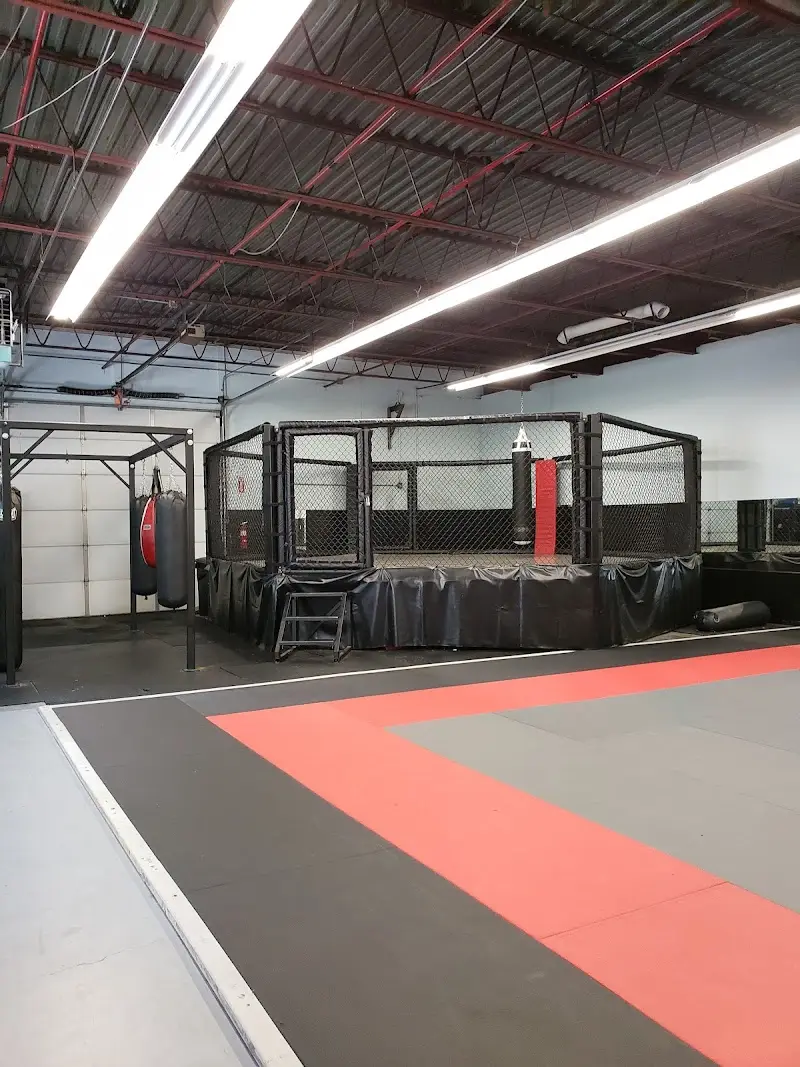 Triumph Brazilian Jiu-Jitsu BJJ Academy - photo 1