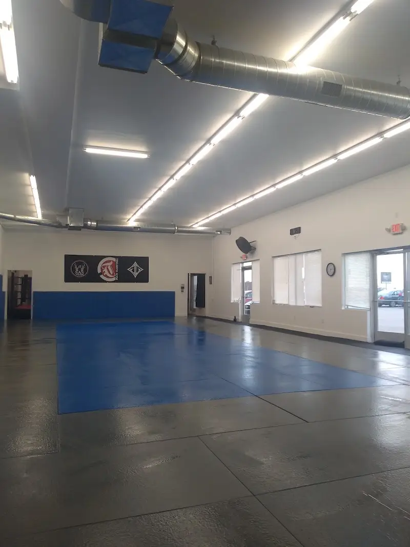 Triumph Gym BJJ Academy - photo 1