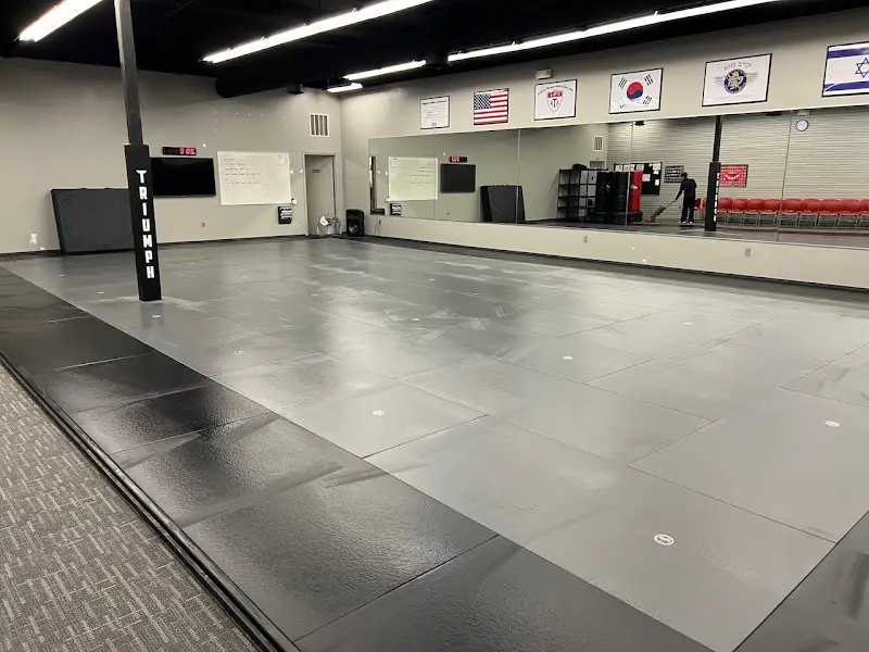 Triumph Martial Arts: Jiu-Jitsu • Taekwondo • Krav Maga BJJ Academy - photo 1
