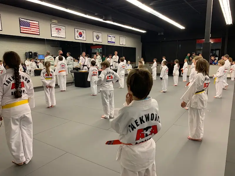 Triumph Martial Arts: Jiu-Jitsu • Taekwondo • Krav Maga BJJ Academy - photo 2