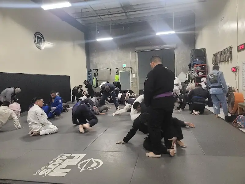 Trxtr Studio BJJ Academy - photo 2