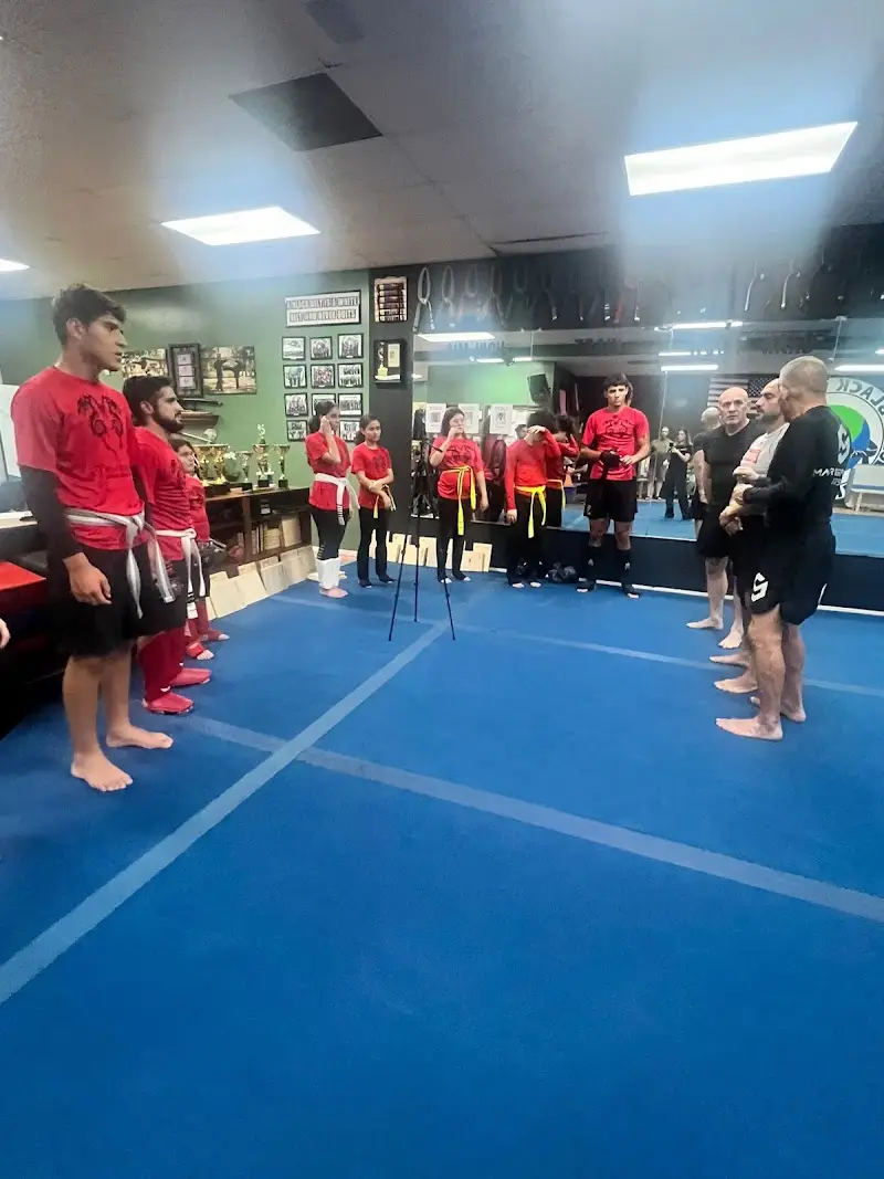 Twin Dragons Brazilian Jiu-Jitsu BJJ Academy - photo 1