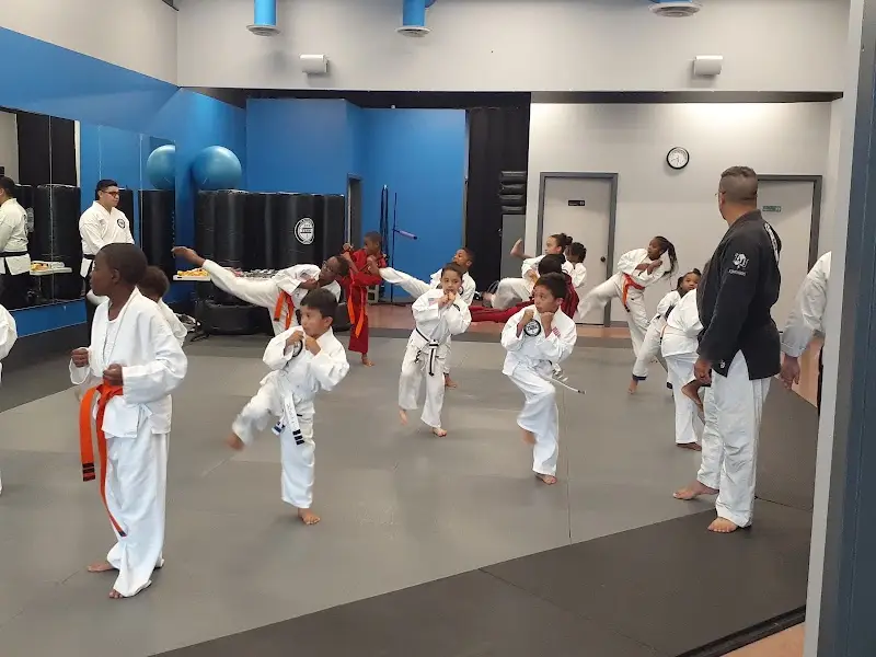 TX Black Belt Academy Cedar Hill BJJ Academy - photo 1