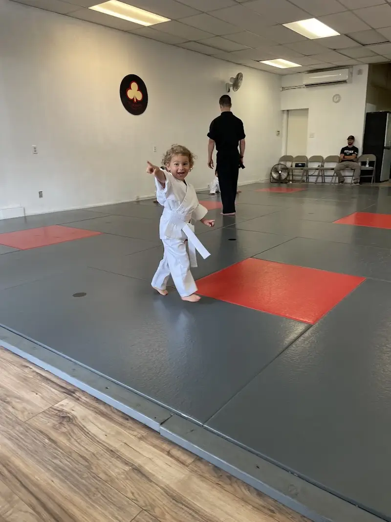 Tyrrell Martial Arts BJJ Academy - photo 2