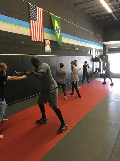 Tysons Brazilian Jiu jitsu and Haganah BJJ Academy - photo 1
