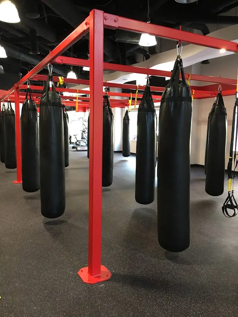 UFC GYM Reston BJJ Academy - photo 1