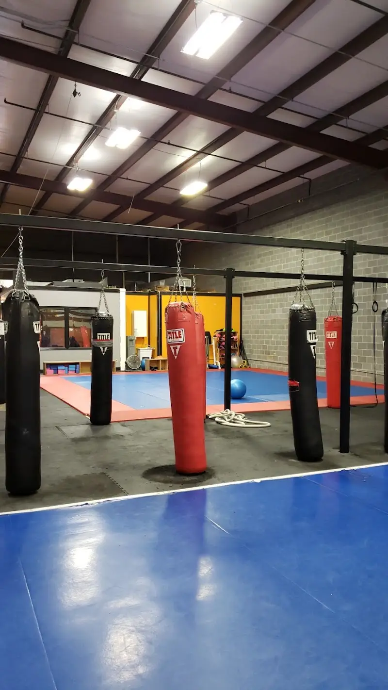 UFM Fitness Kickboxing & Jiu-Jitsu BJJ Academy - photo 1