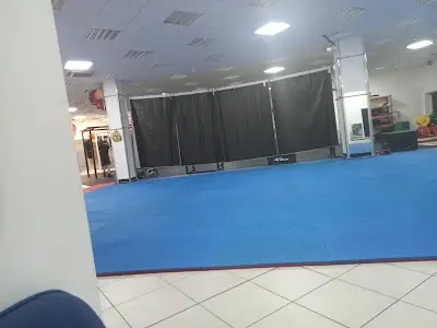 UK Shaolin Centre BJJ Academy - photo 2