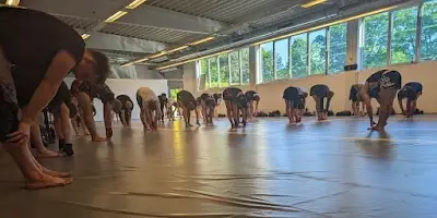 Ultimate Gym BJJ Academy - photo 3