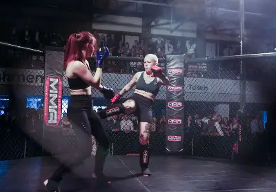 Ultra MMA