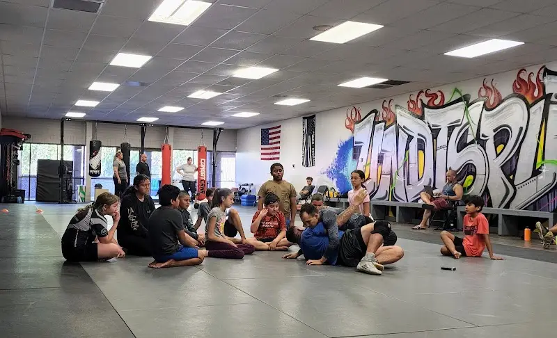 Undisputed | Green Valley Gym | Jiu Jitsu - Boxing - Kickboxing - Fitness BJJ Academy - photo 1