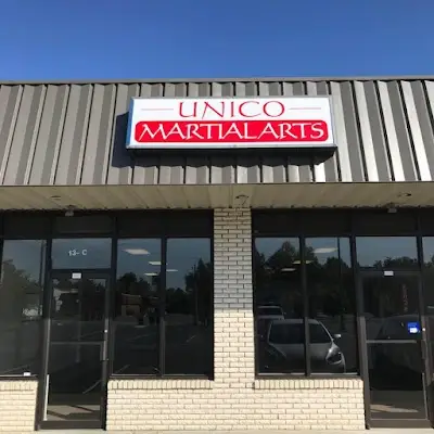 Unico Martial Arts BJJ Academy - photo 3