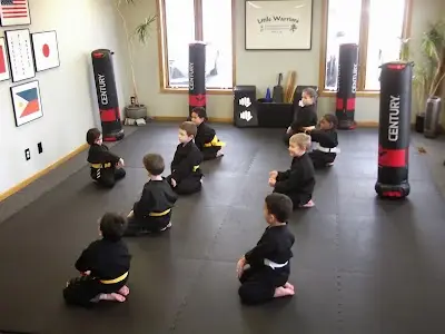 Unified Martial Arts Academy