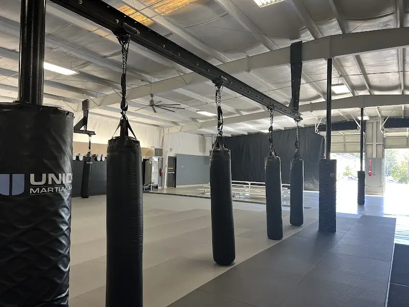 Union Martial Arts BJJ Academy - photo 1