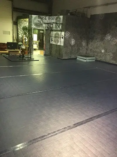 Uniphi MMA and Fitness