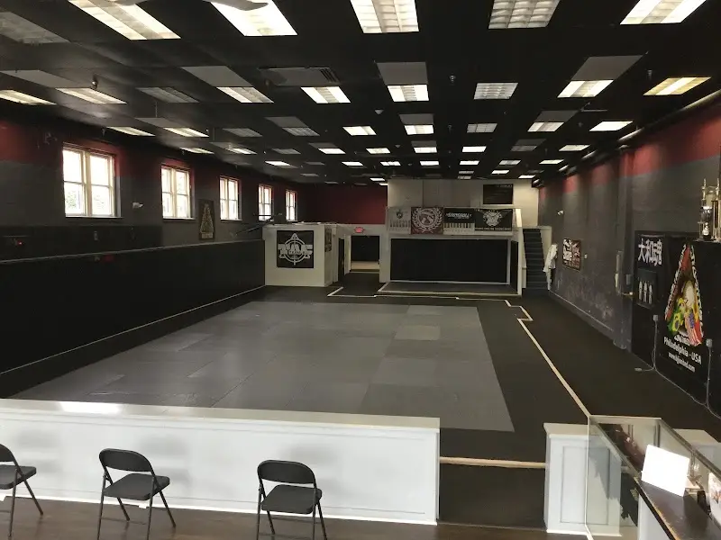 United Arts BJJ Academy - photo 1