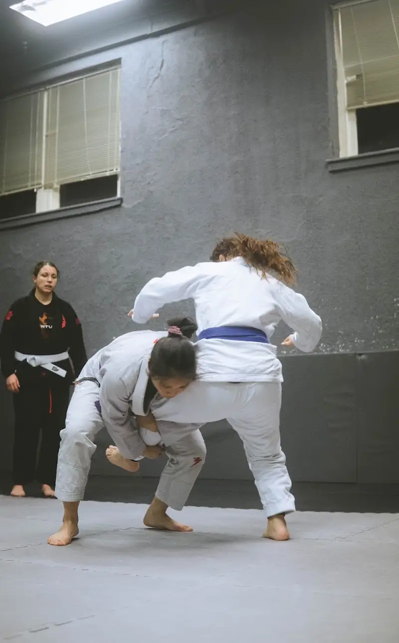 United Arts BJJ Academy - photo 2