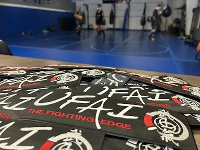 United Fighting Arts Institute, LLC BJJ Academy - photo 1