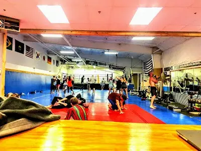 United Fighting Arts Institute, LLC BJJ Academy - photo 2
