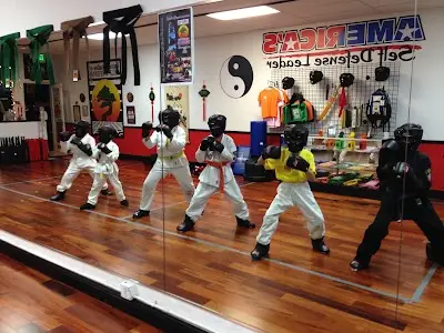 United Studios of Self Defense BJJ Academy - photo 1