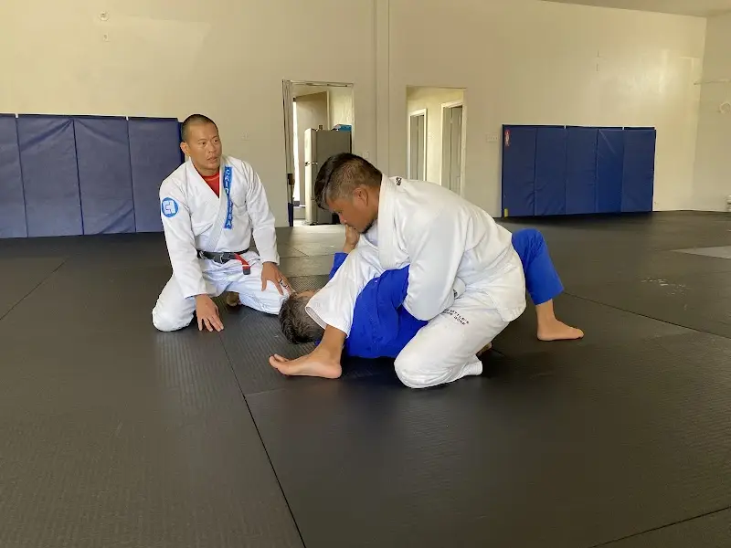 United Team Maui BJJ Academy - photo 1