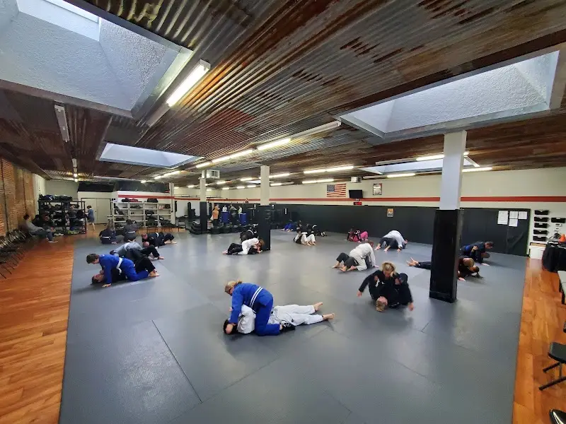 Universal Jiu Jitsu BJJ Academy - photo 1