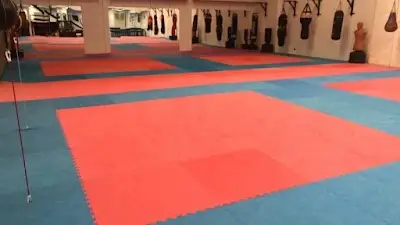 Universal Martial Arts
