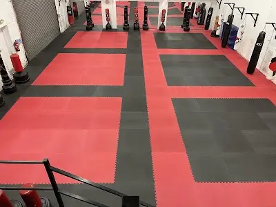 Universal Martial Arts BJJ Academy - photo 1