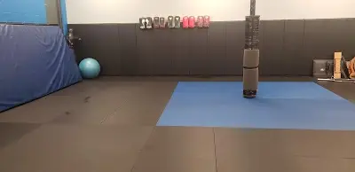 University of Mixed Martial Arts/10th Planet Jiu-Jitsu West Eugene BJJ Academy - photo 4